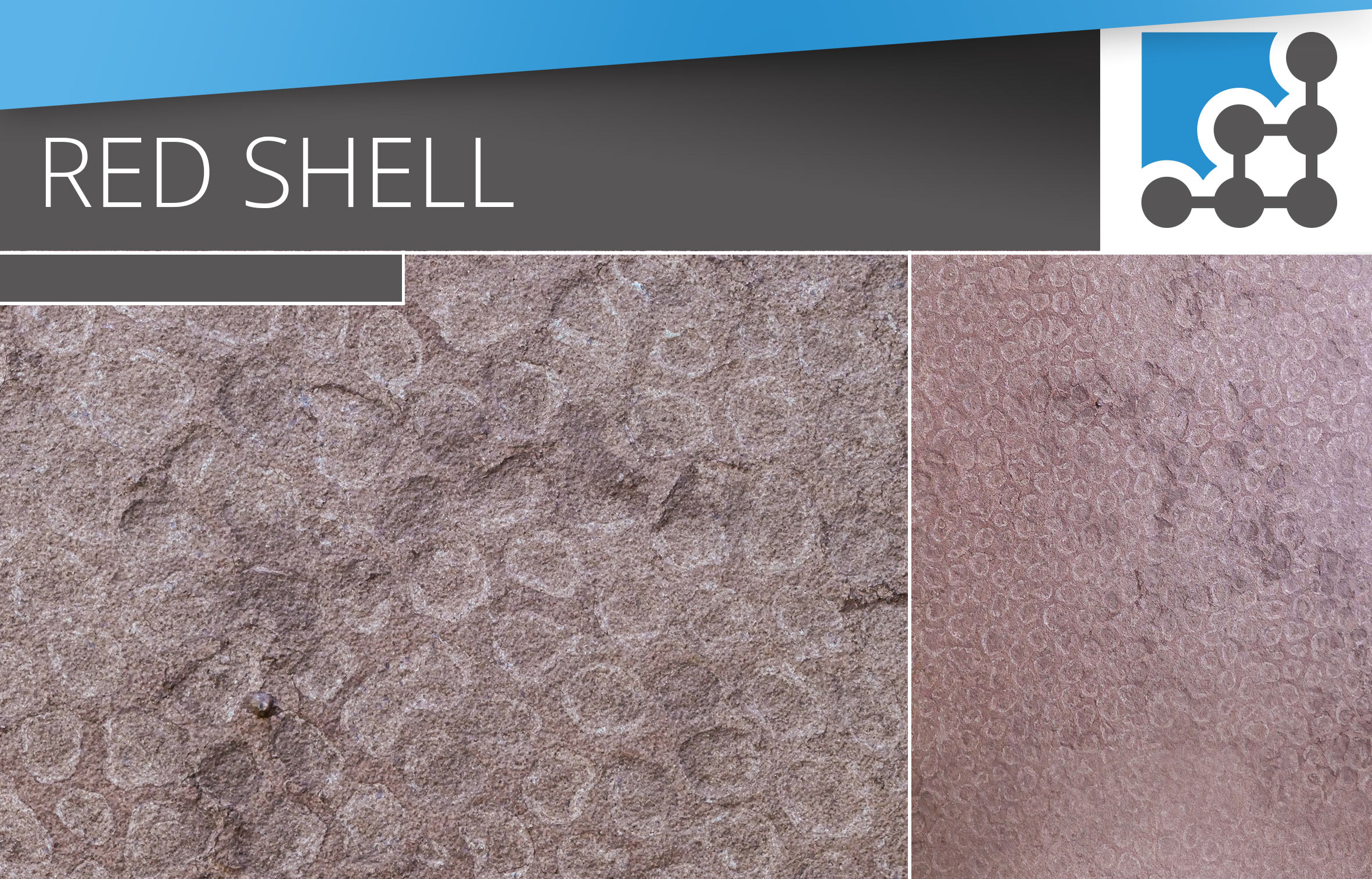 Red Shell - ROCK